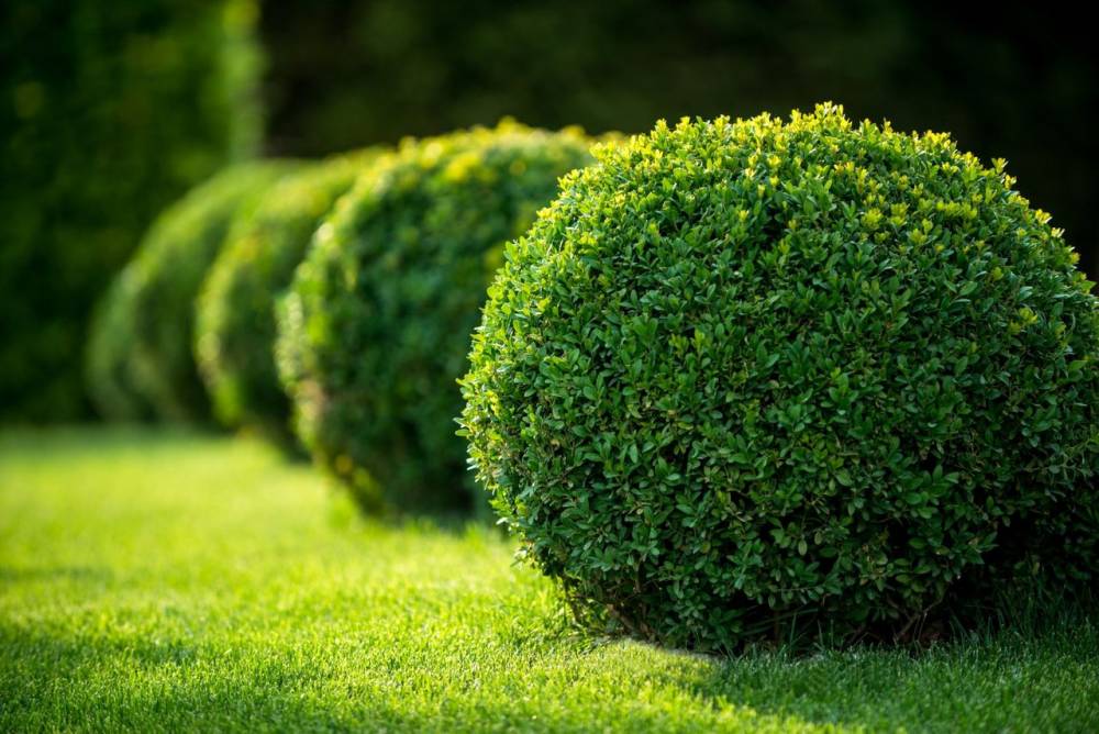 Un spécialiste de l'outillage pour votre jardin à l'Isle-Jourdain