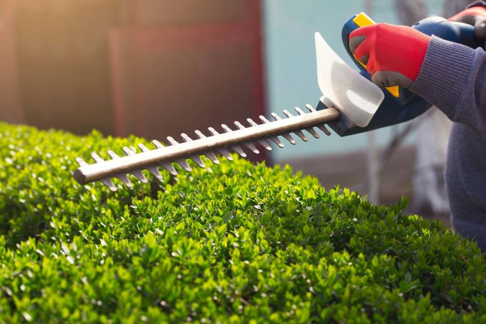 Rotofil pour la taille de haies