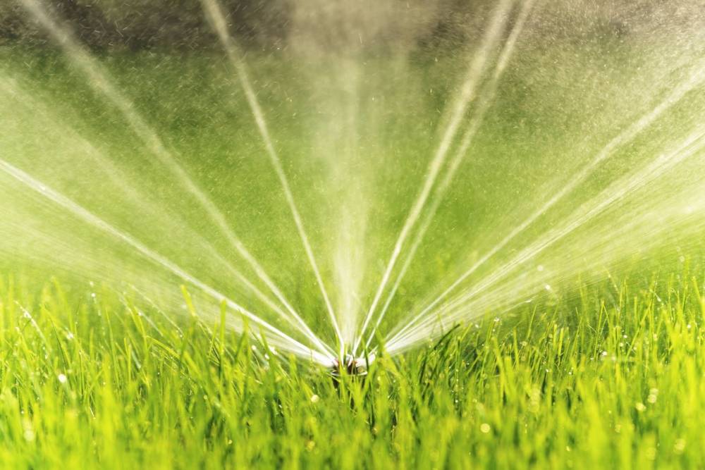 Système d'arrosage pour le jardin